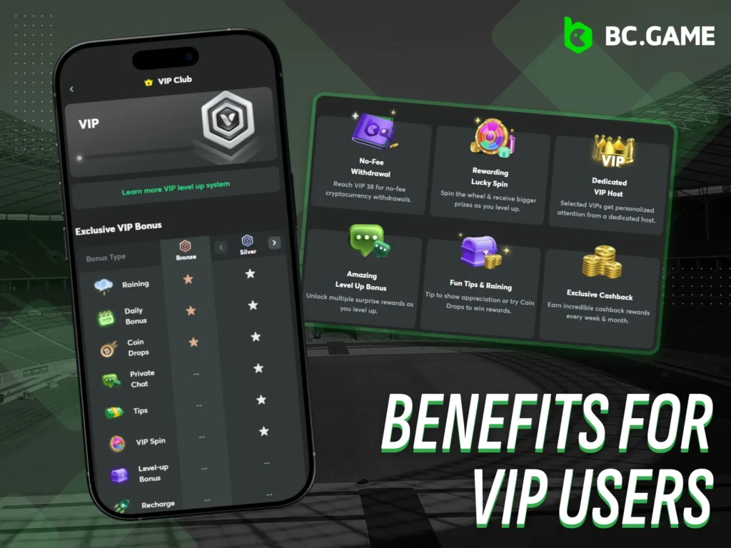VIP users enjoy premium benefits at BC Game Nigeria.