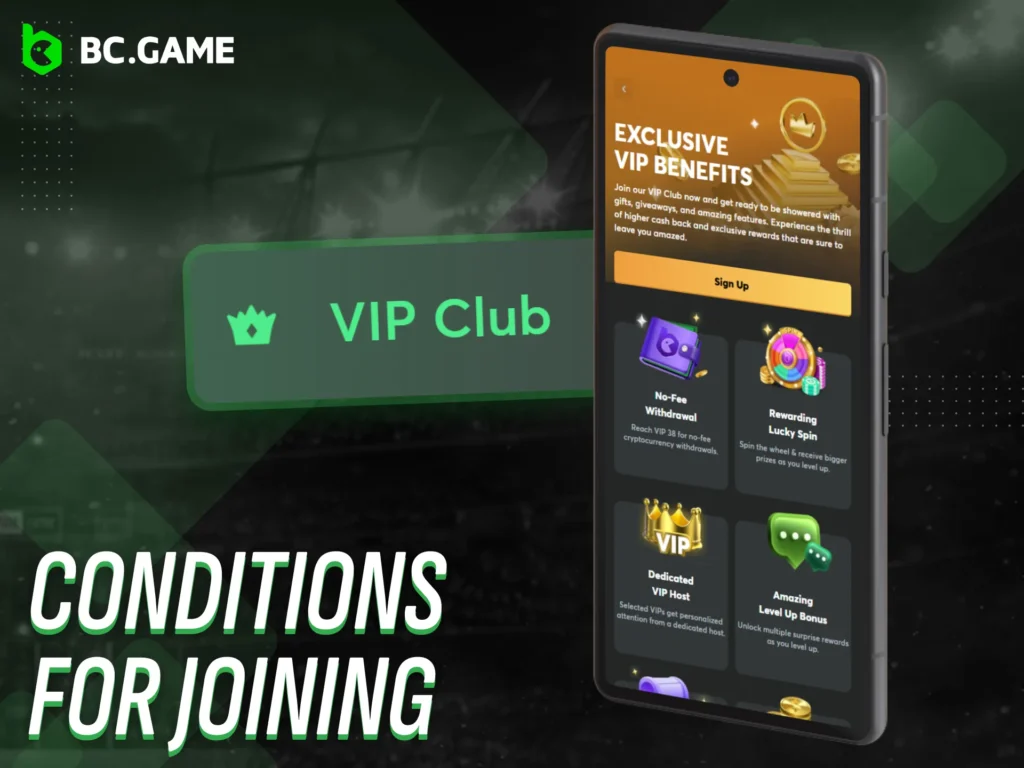 Meet the conditions to enter the BC Game VIP program.