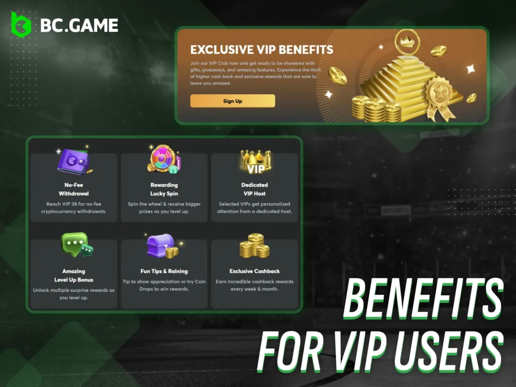 Enjoy premium benefits designed for BC Game VIP members.